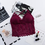 Free Ship! Beautiful Back Women's Wireless Lace Tube Tops Bra Soft Brassiere Underwear Lingerie