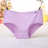 New Underwear Women Sexy Panties Plus Size Briefs Girl Lingeries Cueca Calcinha Shorts Underpant Cotton Panty Ladies Tanga Thong